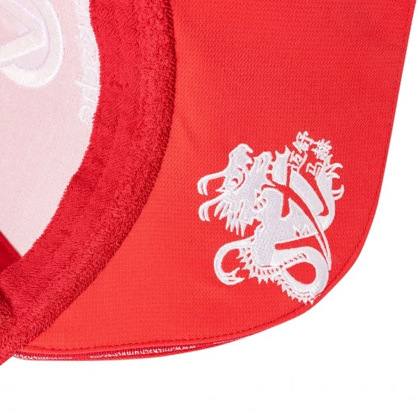 Mick Schumacher Cap Worldchampion 2020 Red – Bild 6